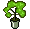 Bush