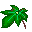 Leaf 7