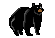 Black Bear