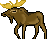 Moose