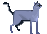 Cat 6