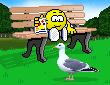 Feeding Birds