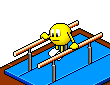 Parallel Bars