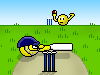Cricket