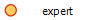 niveau expert